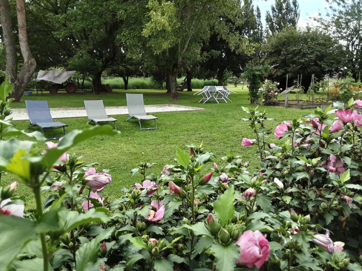 Gite " Les Tourterelles" Thaims 外观 照片